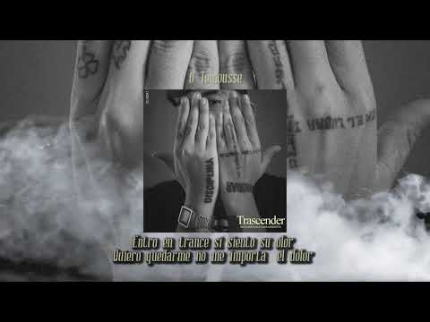 8.  Sike Damodar & Barrasdereptil -  Toulousse