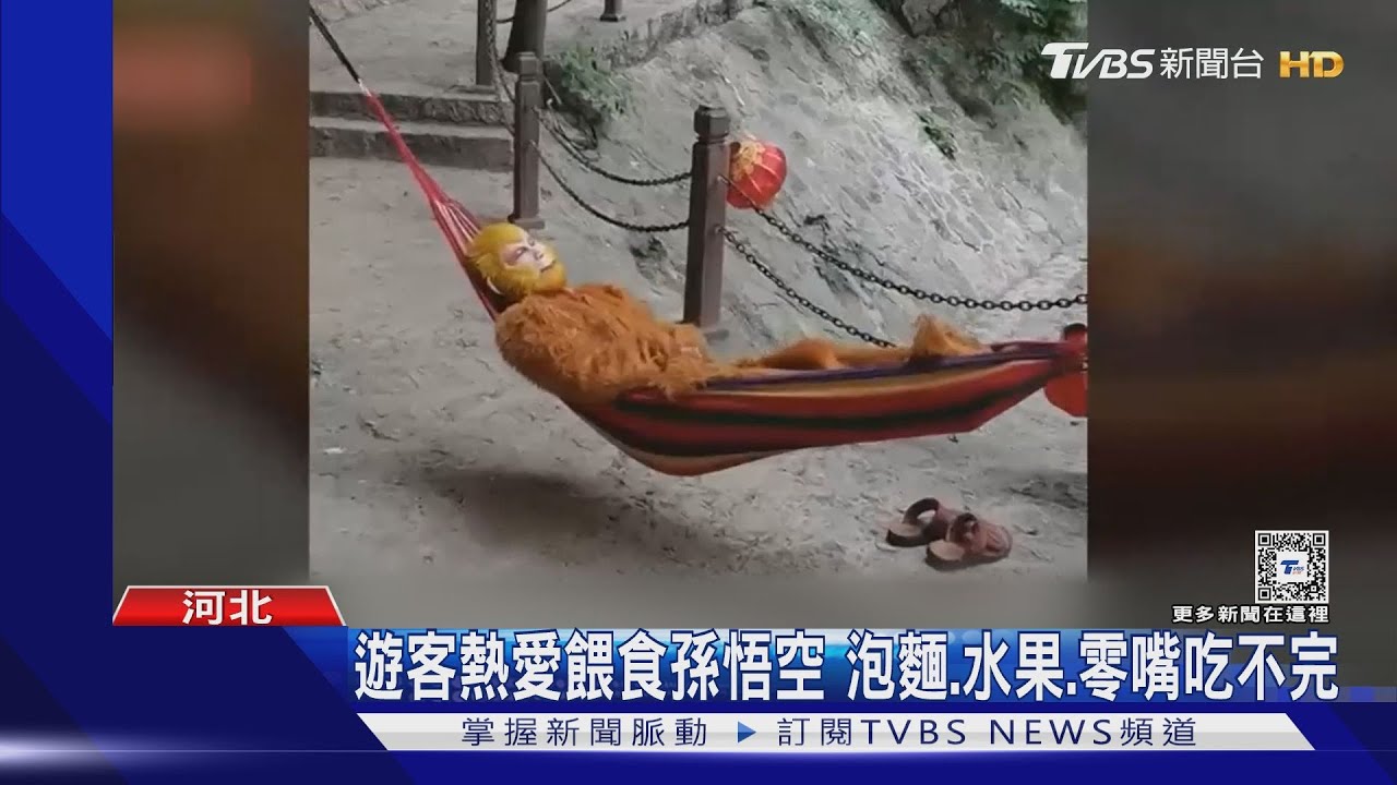 夢幻工作?大陸景點徵「孫悟空」 遊客狂餵食成職業傷害