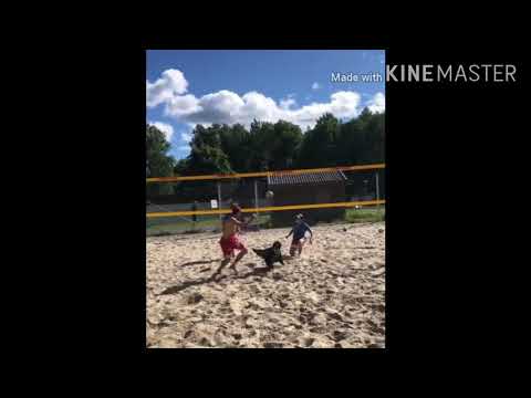 Traind dogs,Rimsha faiz786 entertainment