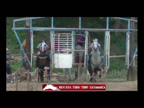 REVISTA TODO TURF CATAMARCA SABALERO 28/11/2021