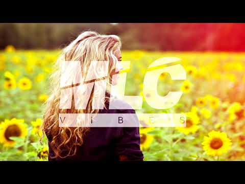 Zoopreme - Homeless Heart (feat. Pi & Erkki R)