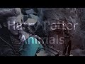 Harry Potter Animals