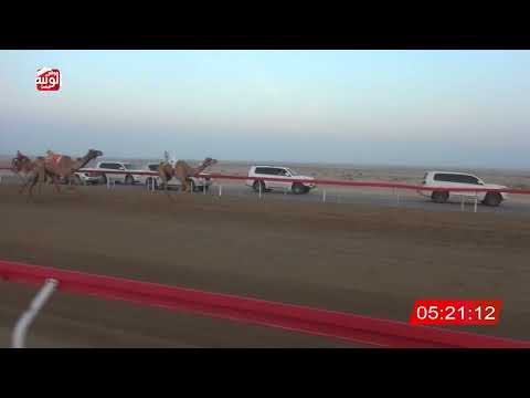  ش 1 (ترف) لـ مصبح سالم بن راشد بخيت الكتبي 7:42:47 ، شارة الديوان 2026/10/25 إيذاع الوقن