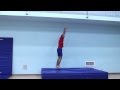Salto napred i nazad Miodrag Jevtic 
