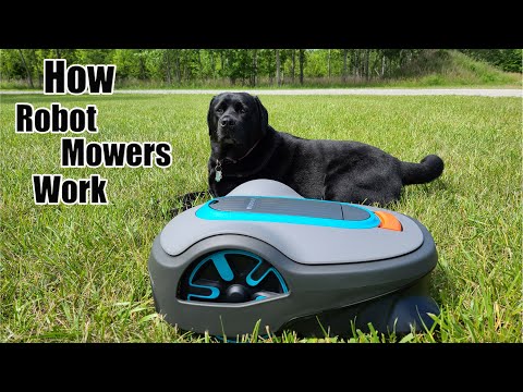 The Basics On How A Robot Mower Works With Tips On What To Buy For Your Yard