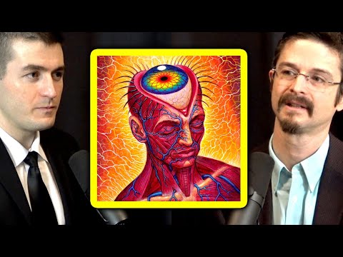 What is a DMT trip like and who are the entities you meet? | Matthew Johnson and Lex Fridman