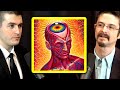 What Is A DMT Trip Like And Who Are The Entities You Meet Matthew Johnson And Lex Fridman