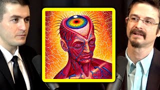 What is a DMT trip like and who are the entities y