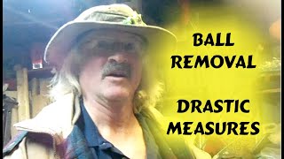 [提問] 古代的前膛槍砲 如何退彈清槍砲？