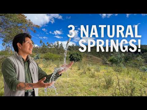 Could You Live Off the Land Here? Ecuador Farm with 3 Natural Springs