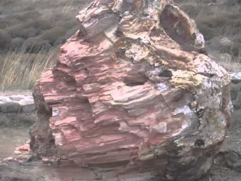 Lesvos, petrified forest