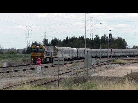 Huge Trains! Really Long Passenger Trains - Australian Trains