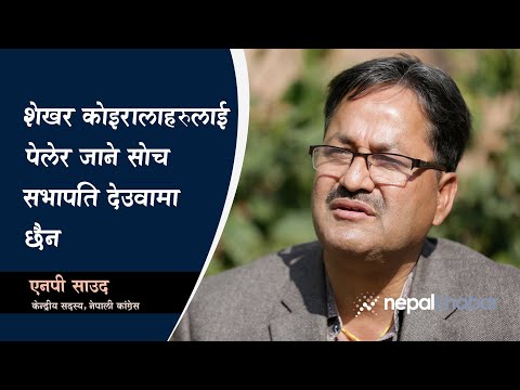 शेखर कोइरालाहरूलाई पेलेर जाने सोच सभापति देउवामा छैन : एनपी साउद