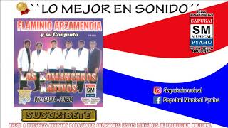 Preview de Ñañe Organizana