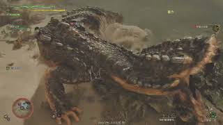 Re: [魔物] 魔物獵人荒野，3060畫質測試