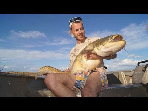 Fishing for giant catfish at the Ebro part II
