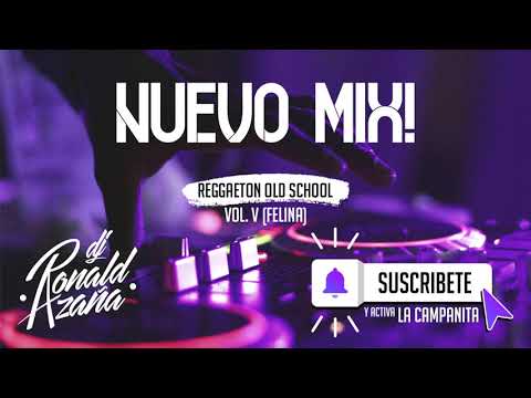 Dj Ronald Azaña - Mix Reggaeton Old School Vol. V (Felina)