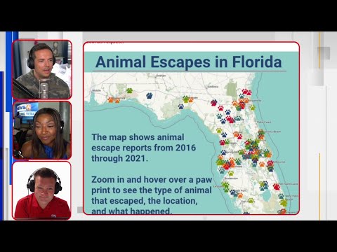 Florida's Fourth Estate: Googling exotic animals that have escaped in Florida