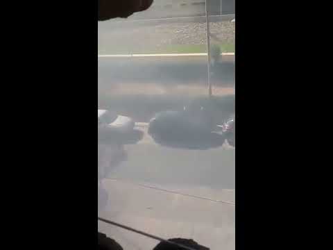 Ultras Badajoz vs Ultras Cartagena @foromdm