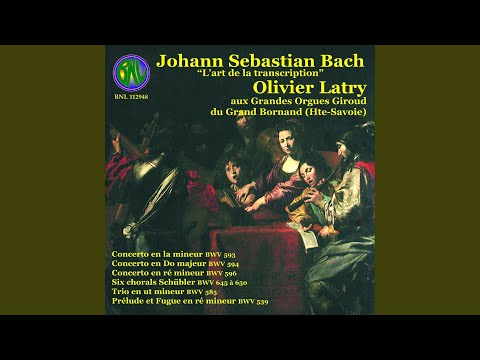 Concerto in D Minor, BWV 596