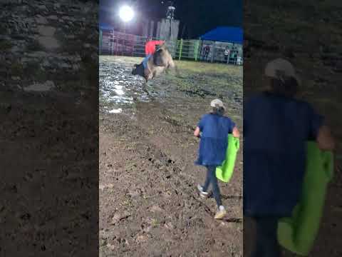RODEO TAURINO EL ALMENDRO RÍO SAN JUAN NICARAGUA