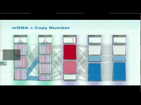 Supporting Subtype Characterization Through Integrative Visualization... - Nils Gehlenborg