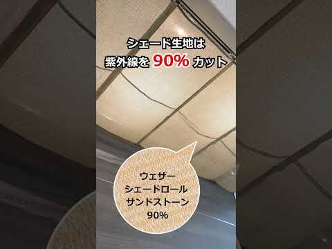 aménagement-balcon-auvent-retractable-plantes