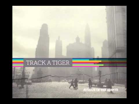 Track a Tiger - One Foot in the Ocean
