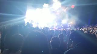 Paramore: Told you so/ HalfNoise: All That Love Is