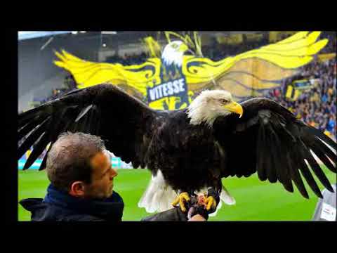 NACpraat 10 8 2017 Voorbeschouwing Vitesse - NAC