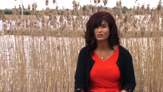 Caroline J Harte  Mr Right For Tonight