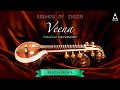 Veena Music By Rajhesh Vaidhya Improve Memory Focus Veena Instrumental Classical Music Veena