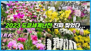 세계 최대규모의 서양란 난초 박람회를 다녀왔습니다!! 서양란 판매 부스도 대박이네요!! 도쿄식물여행 2탄!!