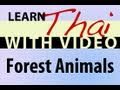 Learn Thai with Video - Forest Animals