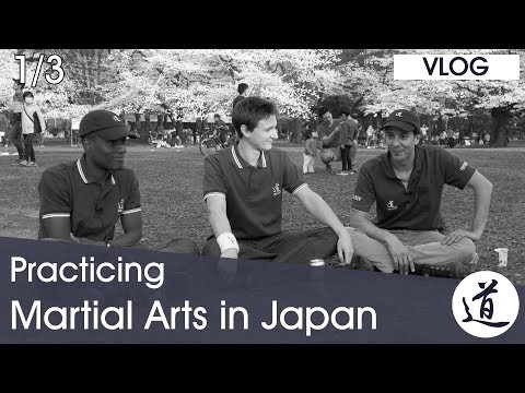 Differences Between Japanese & Western Budo Practice - Seido Talks [Vlog #03 - Part 1/3]
