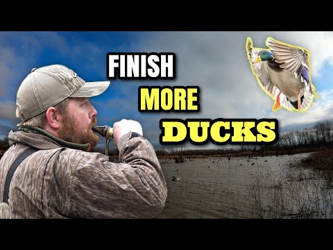 Finisher Call: Make Ducks Land In Your Face