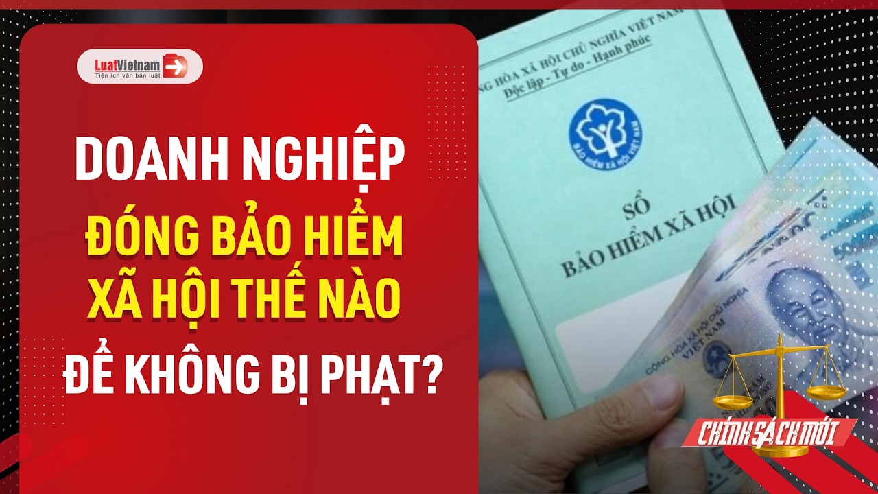Doanh nghiệp đóng bảo hiểm xã hội thế nào để không bị phạt?