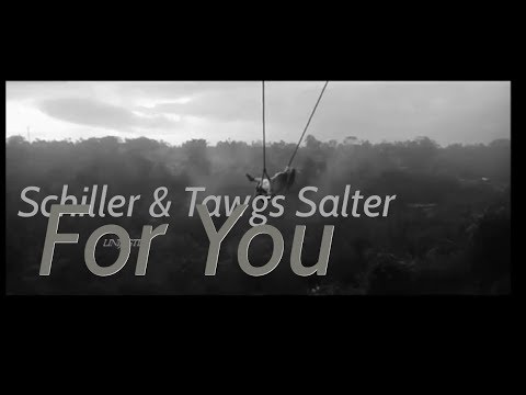 Schiller & Tawgs Salter - For You