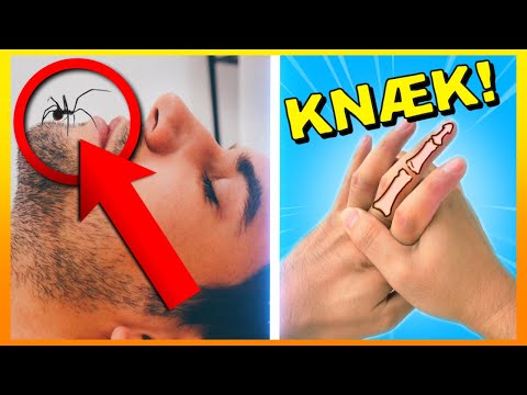 15 Populære Myter Der Ikke Passer!