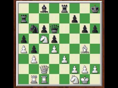 GM Bogdan Lalic vs WFM Sarah Hegarty