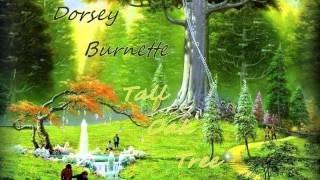 Dorsey Burnette - Tall Oak Tree