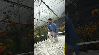 Download lagu Iqbal bila dengar lagu Basstamam terus auto marawis mp3