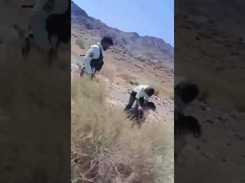 هجوم قوات القمع على النساء البلوشيات في فارياب