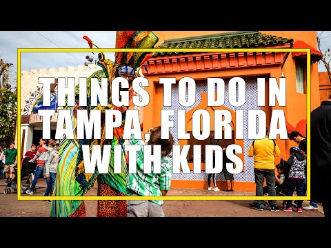 7 Amazing Things to do in Tampa Florida with Kids