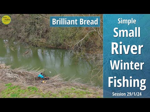 Simple Small River Winter Fishing With Bread - Epic Red Letter Session - 29/1/24 (Video 466)
