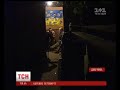 В мире животных: свиньи "Захарченко" и "Гиви" в украинских окопах (кадры)