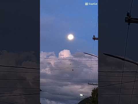 Mantenopolis espírito santo #shorts #youtubeshorts