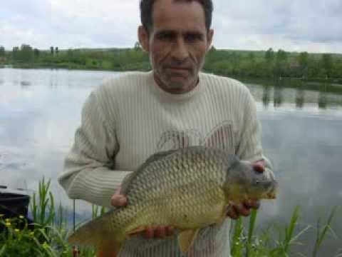 Capturi Crap pe lac Brateni