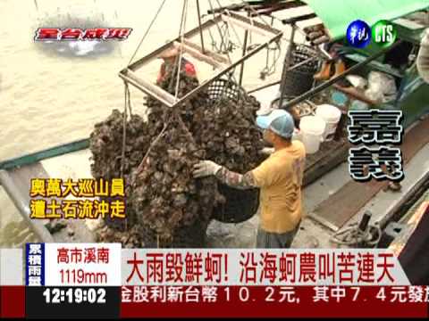 蚵農損失破2億! 鮮蚵價格恐飆漲