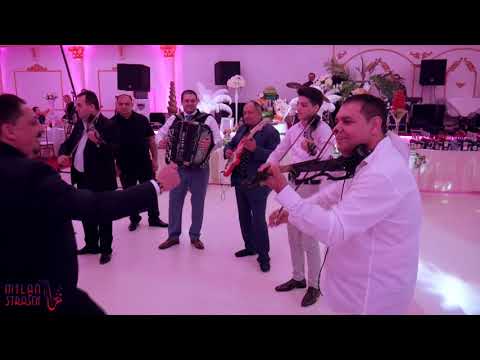 Vlada SIle / Gugi / Misa i Stefan Cuban / Alex i Bobi Cergar / Sanjika / Milan Strasni / Damir